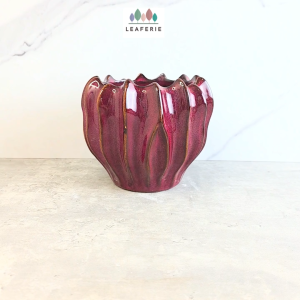 The Leaferie Elo plant pots Ceramic flowerpot flowerpots flower pot planter planters
