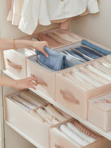 EACHY | Clothes Segmented Storage Box