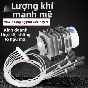 Sunsun | High Power Oxygen Pump for Aquaculture