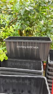 chậu nhựa chữ nhật trồng cây cỡ lớn D63xR26xC30cm