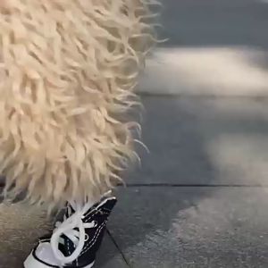 PS-870 รองเท้าสุนัข หมา ผ้าใบ กันลื่น สุนัขพันธุ์เล็ก-กลาง ราคาถูก พร้อมส่ง🐶