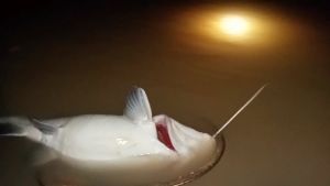 SAMUS 1600M 8000W 12V Konverter Inverter Pintar Daya Tinggi Transformator Step-Up Elektronik