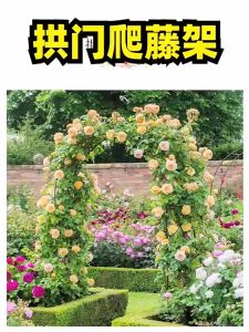 Transform Your Courtyard: Iron Stand Planting Box & Climbing Pergola Garden Arch