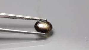 1.80 ct พลอยดิบ พลอยสตาร์ (Star Sapphire) 6 ขา ทรงไข่หลังเบี้ย บางกะจะ