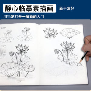 Adult Stress Relief Drawing Book Flower Animal Sketch Copybook Beginner Friendly Line Drawing Practice Book for All Ages