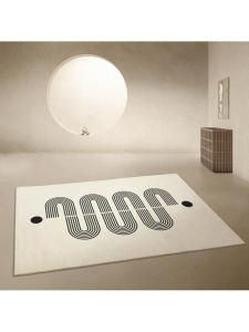 MOLORE | Modern Simple Abstract Morandi Thickened Soft Carpet