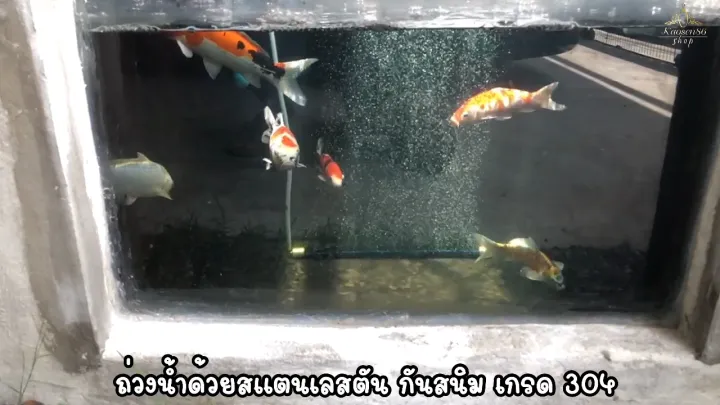 แท่งออกซิเจน BBR Oxy Bar หลากหลายขนาด สำหรับบ่อปลาและตู้ปลา