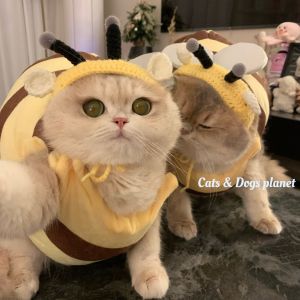 Pet Cat Bee-Pattern Clothes Cute Casual Bee Clothes Knitted Hat Blue Gold Gradually Layer Cat Cat Dog Doll