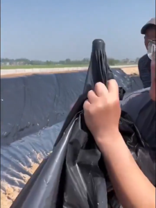 【Genuine product 500microns】Fish Pond Liner pond liner for fish pond Gardens Pools Landscaping HDPE Waterproof Durable Protects Fish Shrimp Various Thickness Options Ready Stock Fast Shipping Made in Japan