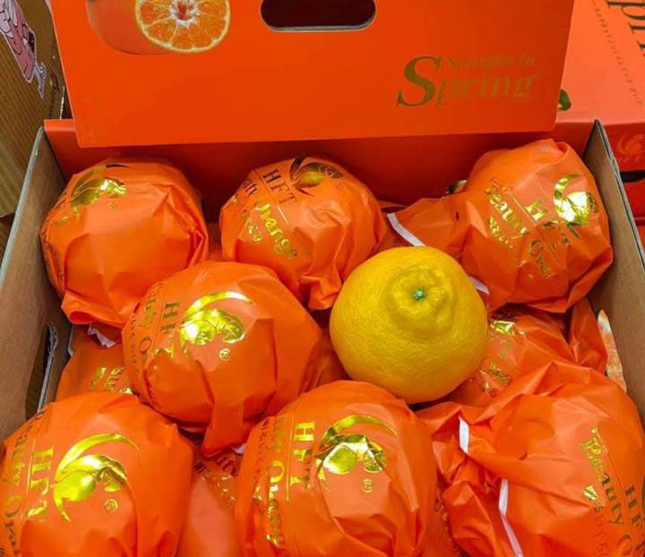 ส้มจุกตรานกแก้ว(เดโกปอง) 🍊🍊ไซร์ใหญ่ 🍊🍊กล่องส้ม,กล่องขาว🍊🍊หวาน หอม อร่อย ...
