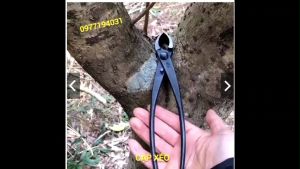 Kìm cạp bonsai cạp tròn cạp xéo hàng nội địa NHẬT BẢN bằng thép không gỉ