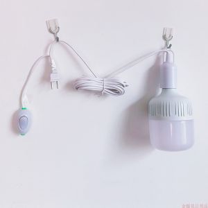 LED Bulb with Wire Independent Switch Hanging Small Night Lamp Bedside Lamp Bedroom Lighting Plug Lamp Energy Saving Wall Lamp