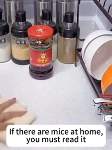 CROWN Rodent Repellent for Rat Spray Mouse Repellent for Home Rat Off Spray | Pamatay sa daga