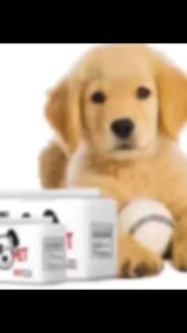 Dono Dog Female Diapers: A Comprehensive Guide