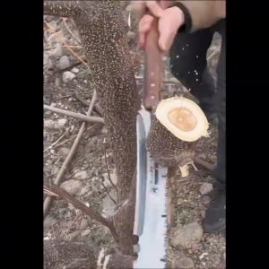 【Flash Sell】เลื่อยตัดไม้แบบหนาใหม่ เลื่อยงานไม้ในครัวเรือน เลื่อยอเนกประสงค์ เครื่องตัดสวนเลื่อยพกพาสำหรับกลางแจ้ง เลื่อยมืนำเข้า sk5 เลื่อย