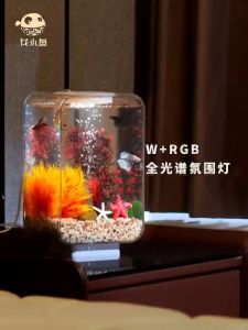 Fish Aquarium Small Fish Tank Table Top Fish Tank Set Aquarium Desktop Smart Tank M hot delivery Acrylic Small Eco-friendly Exquisite Cylin Fish Tank Mini Aquarium 鱼缸