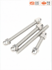 Creaby | 304 Stainless Steel Fully Threaded Studs & Cap Nuts Set