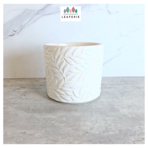 The Leaferie Silas plant pots. flowerpot . flowerpots . flower pot . planter Ceramic Plants