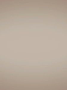 智力游戏 让你拥有最强大脑越来越聪明 彩图版 开发孩子大脑潜能小学