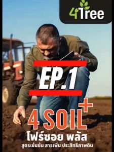 โฟร์​ซอย พลัส 4Soil​ Plus สูตรใหม่ เข้มข้นกว่าเดิม สารเพิ่มประสิทธิภาพดิน เพิ่มธาตุในดิน ของแท้100%