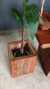 ตะกร้าผ้า ที่ใส่ร่ม ใส่ไม้กวาด ใบใหญ่ กล่องเก็บของ ชั้นวาง ตะกร้าไม้ ตะกร้าใส่ผ้า ถังขยะ ทำจากไม้ โดนน้ำโดนแดดได้