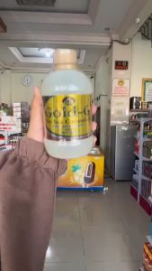 Jelly Gamat Gold G 320 ML Bio Sea Cucumber Daya Tahan Tubuh