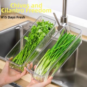 Vegetable Freshkeeping Fridge Storage Box