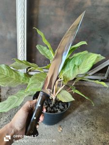 Pisau penyembelih kambing/sapi dll super tajam PB 30cm