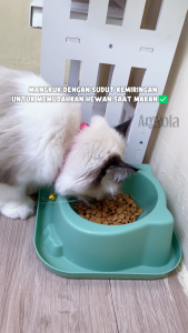 Angola Pet Feeder Bowl M32 Mangkuk Tempat Makan Kucing Anjing Hewan Peliharaan