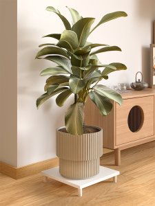 ชั้นวางกระถางไม้ทรงสี่เหลี่ยมพร้อมฐานหมุนและล้อ อุปกรณ์ตกแต่งบ้านสำหรับต้นไม้ในบ้าน สไตล์เรียบง่าย กระถางไม้เนื้อแข็ง ชั้นวางกระถางแบบปรับระดับได้