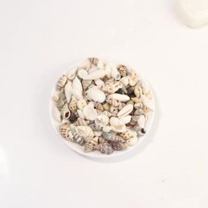 466 Chiếc Vỏ Sò Biển Hình Xoắn Ốc Hạt Vỏ Sò Nhỏ Chưa Khoan Vỏ Sò Biển Nhỏ Xíu Để Làm Đồ Trang Sức - 1 Hộp/túi