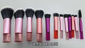 Travel Makeup Brush 10Pc/Set-High-Quality Cosmetic Brushes for Versatile Makeup Application-Palm Brush Professional Makeup Tool