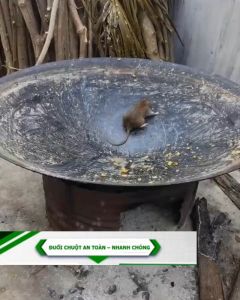 Thuốc Xịt Đuổi Chuột Muỗi Thảo Mộc XS 500 ML - Chai To Có Tay Xịt Xuất Xứ Thái Lan Không Mùi - Thân Thiện Cho Người Dùng