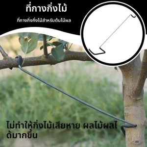 นํากลับมาใช้ใหม่ผลไม้สาขาต้นไม้ผู้ถือพืชสนับสนุนผลไม้สาขา Spreader สาขาต้นไม้กรอบสนับสนุนสําหรับ YARD Tree สาขา Fixe
