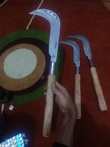 Sabit serbaguna buat perkebunan salak atau bisa juga buat merumput