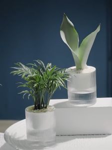 Self Watering Round Transparent Plastic Lazy Flower Pot Diameter 15cm (Pasu Bunga Bulat Plastik Auto Siram Air)