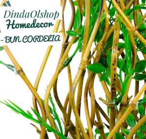 Dekorasi Rumah Tanaman Artifisial 10 Batang Hiasan Bambu Ulir Natural Daun Cordelia 180cm