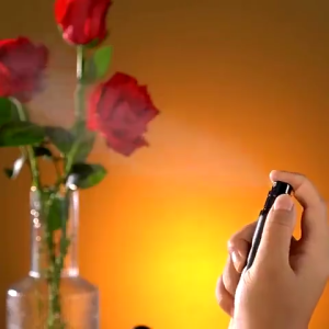 5ML Perfume Bottle Refillable Portable Mini Perfume Travel Atomizer Bottle Cosmetic Makeup Spray Bottle