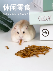LOCAL DELIVERY- SMALL PET HAMSTER DRIED BREAD WORM HAMSTER SNACK FOOD 仓鼠粮食零食面包虫干高蛋白营养饲料食物 100G MAKANAN HAMSTER