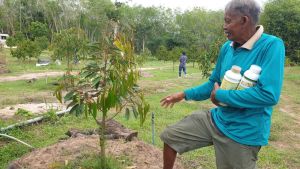 ปุ๋ยน้ำลาวา(LAWA) 1ขวด 1000 cc. ช่วยเร่งการเจริญเติบโตทุกส่วนของพืช ใช้ได้กับพืชได้ทุกชนิด