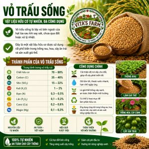 Vỏ Trấu Sống Đã Xử Lý An Toàn Cho Cây Trồng Và Vật Nuôi Cải Tạo Đất Giữ Ẩm Thân Thiện Môi Trường Bao 5Kg