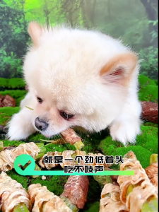 PURE NATURE Dog Treats 100g Dog Snacks Dog Treat Snack Dog Snack Food Pet Snack 狗狗零食 宠物零食 猫零食 貓咪零食