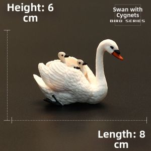 MENGSILE | Realistic Animal Model Toy Set