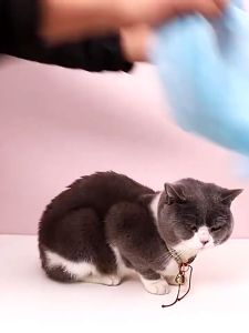 Jin.Lucky ถุงอาบน้ำแมว อเนกประสงค์ ป้องกันการกัด ป้องกันรอยขีดข่วน พร้อมส่ง