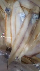 KHÔ CÁ BƠM  Khô Cá Lưỡi Trâu Cà Mau- CHIÊN VÀNG ƠM HAO CƠM NGON BỮA --ĐẠI NGƯ