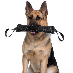 2 Handles Pet Training Bite Tug Toys Young Dog Chewing Arm Sleeve