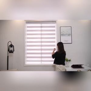 AOne Decor Curtains free perforated louvers lift soft gauze curtain blackout roller blinds office bathroom living room waterproof solid color60*160/80*160/100*160
