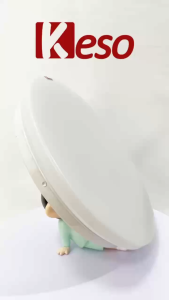 Keso LED Ceiling Light 12W/24W/36W Modern Style Round Pendant Light with Dimmable Function High-Quality Indoor Lighting