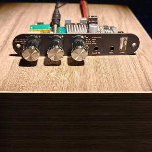 ZK-1001UM Mono 100W Bluetooth 5.3 Amplifier Board DC 9-24V with Mic Reverb Amplifier Module BP1048+TPA3116D2