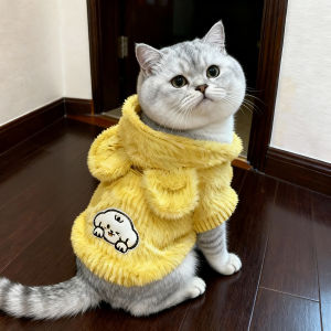 Warm Fleece Lined Hooded Vest for Cats And Dogs Non Hairless Cat Warm Plush Vest Autumn Winter Pet Clothes Doll English Short
